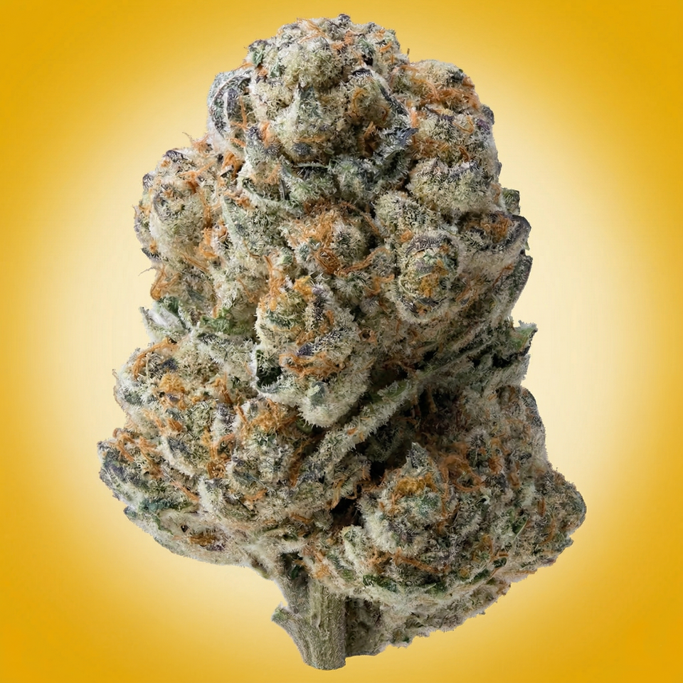Lemon Cherry Beltz