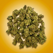 Ice Latto Budget Smalls Cannabis Flower In Jar