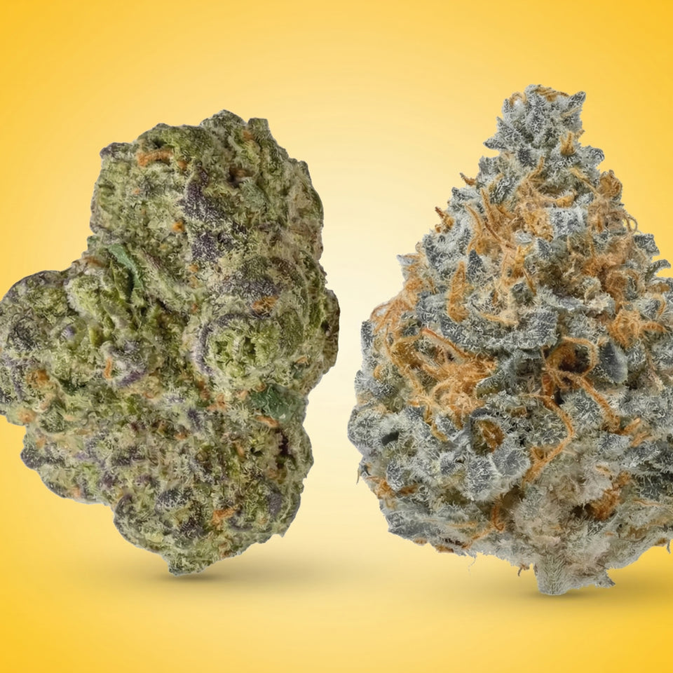 Cherry Zelato & Lemonade Grenade