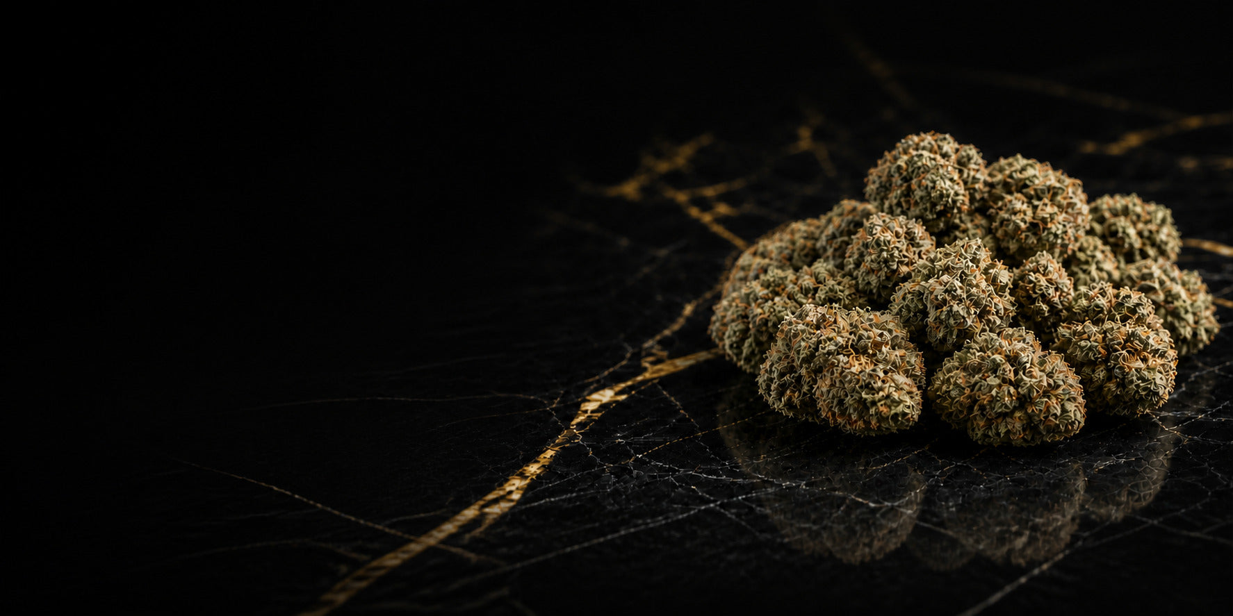 THCA flower buds arranged on a black and gold marble surface