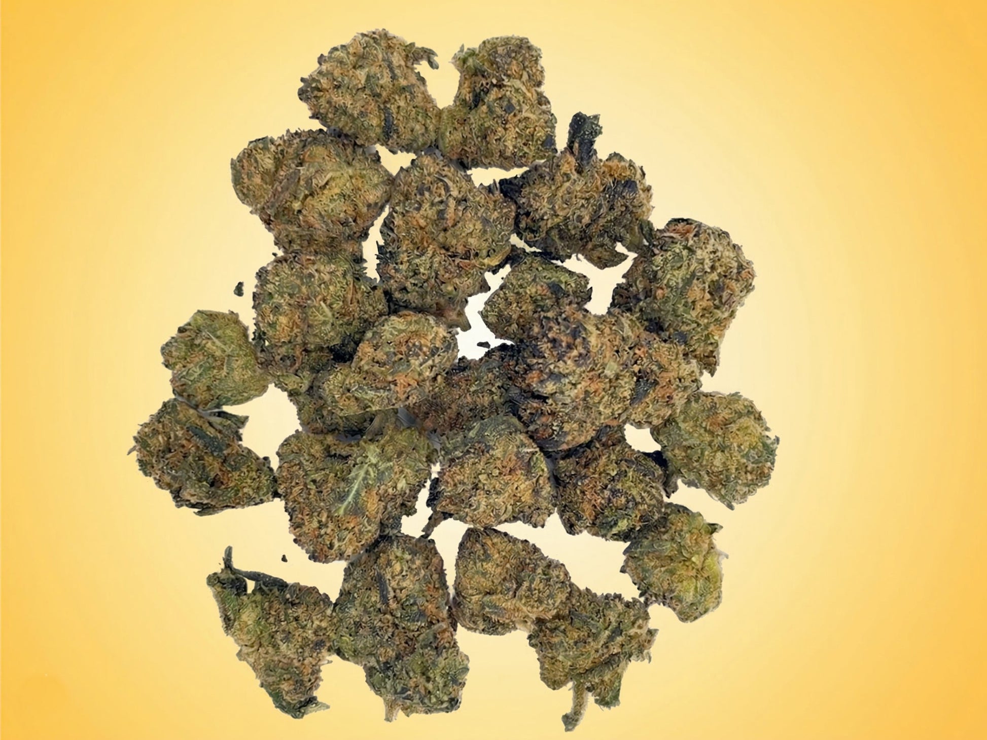Fried Banana Cannabis Flower Smalls Jar By Costa Brand