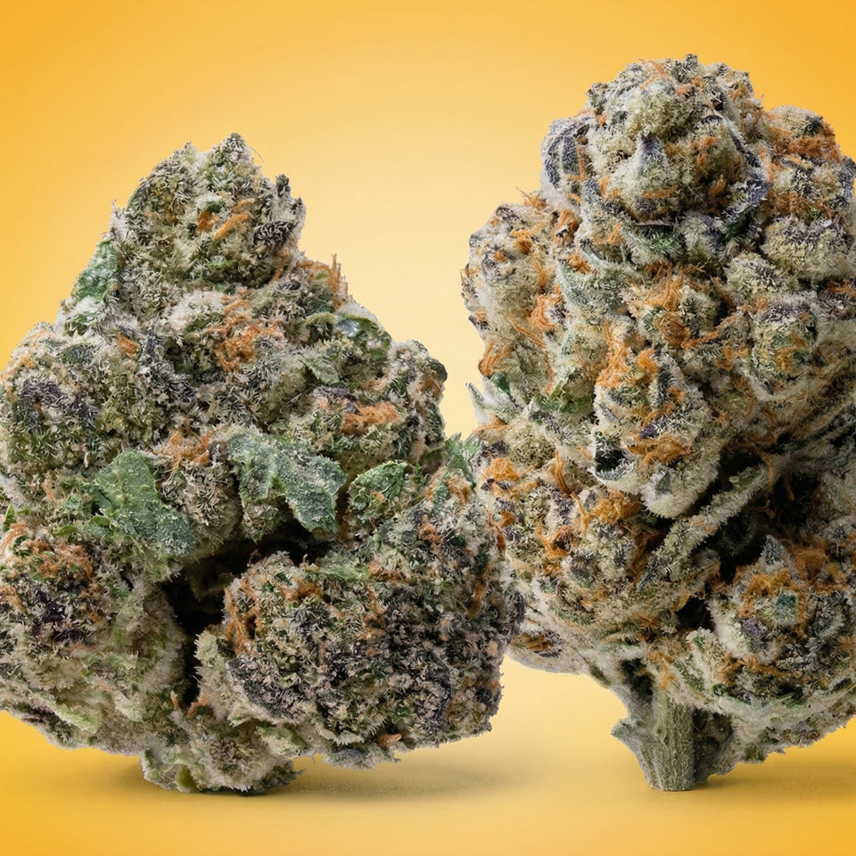 Gas Leak OG & Fire OG