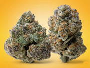 Gas Leak OG Fire OG Cannabis Flower Smalls Jar Costa Brand