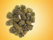 Gello Shotz Cannabis Flower Smalls Product