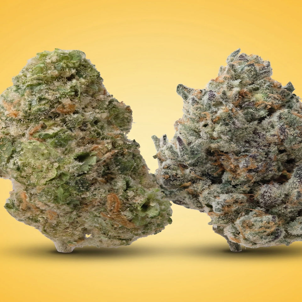 Space Candy & Sugar Bomb Tartz