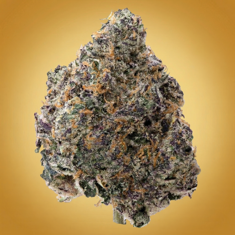 torta_pounder_-_Exotic