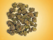 Tropical Burst Cannabis Flower Smalls Jar By Costa Brand